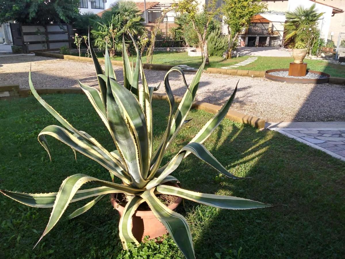 Cà Romi Vila Volta Mantovana Exterior foto